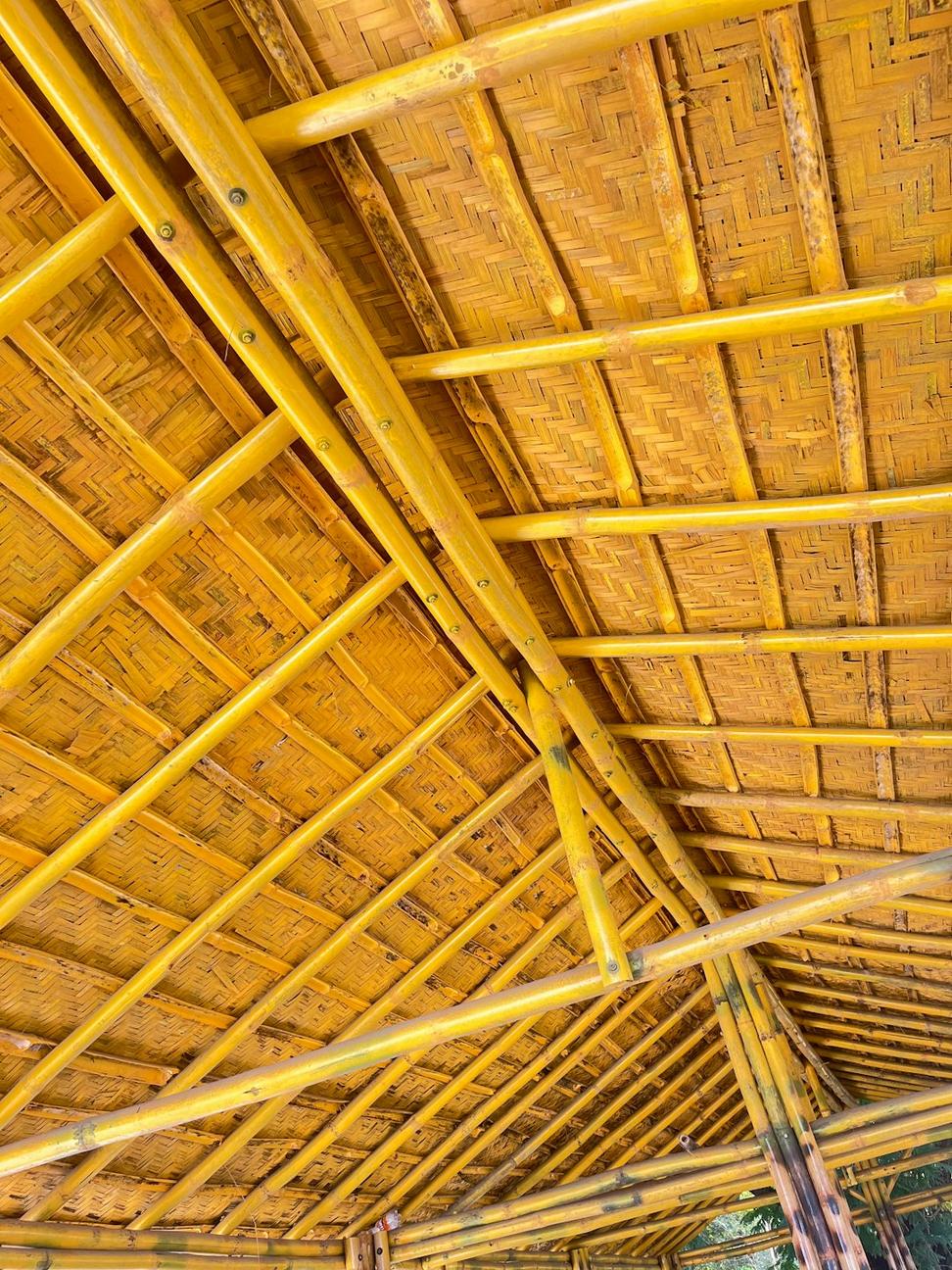 Bamboo Materials