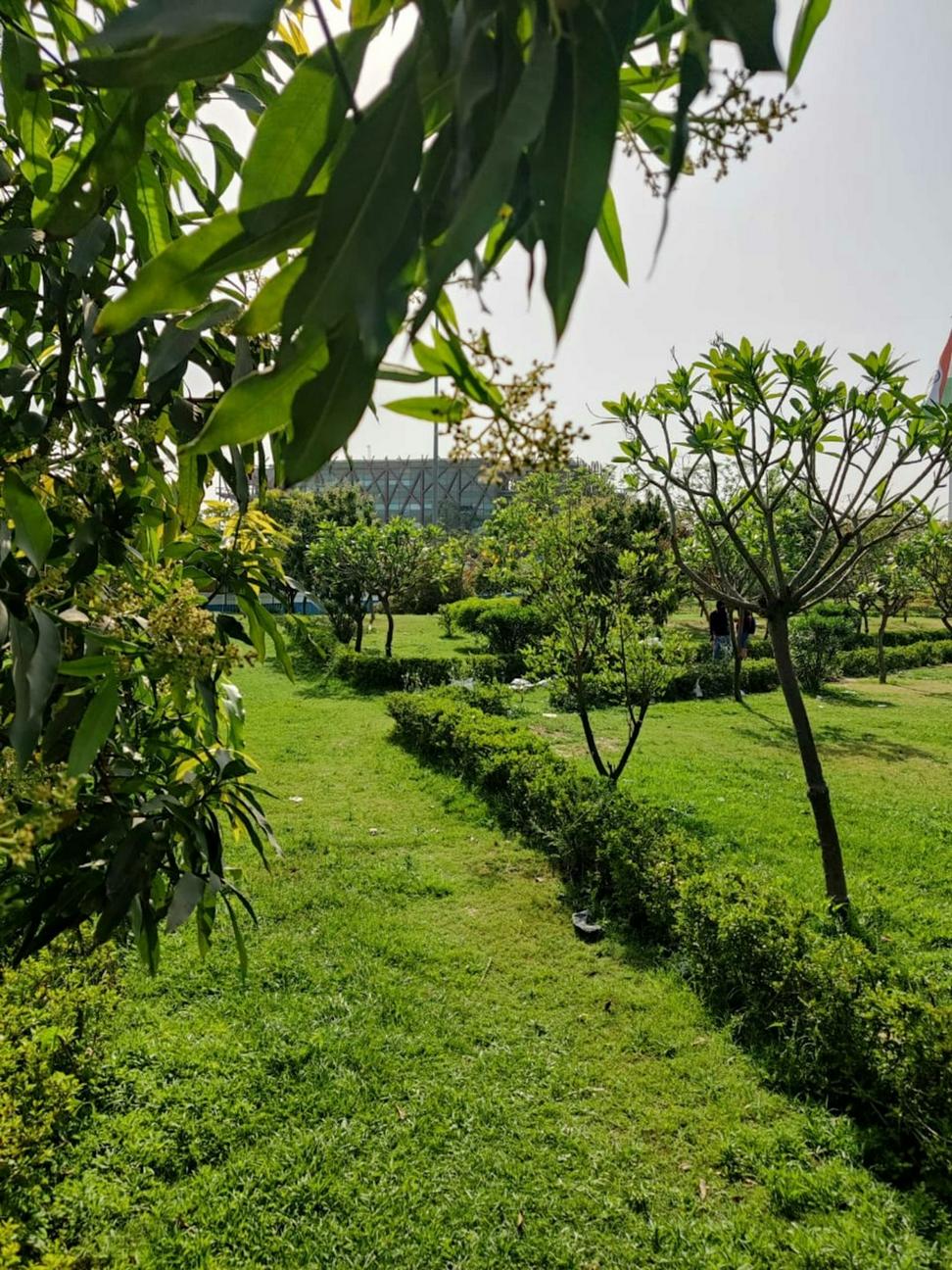 Green Roof