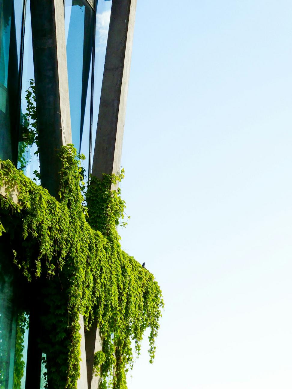 Queen West Retail Complex